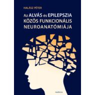 Az alvás és epilepszia közös funkcionális neuroanatómiája