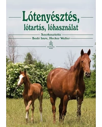Lovaglás, lótartás