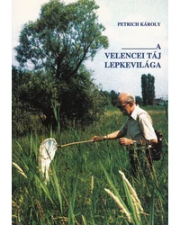 Belföldi utazások