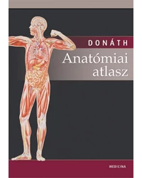 Anatómia