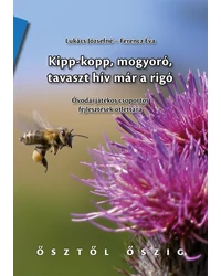 Környezeti nevelés