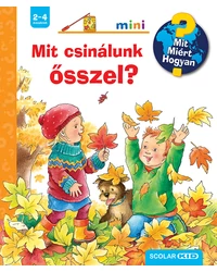 Mit? Miért? Hogyan? Mini–sorozat