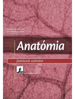 Anatómia fodrászok számára