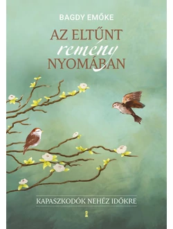 Az eltűnt remény nyomában
