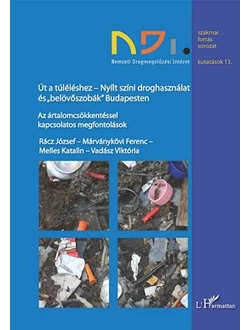 Út a túléléshez - Nyílt színi droghasználat és „belövőszobák” Budapesten