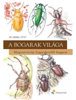 A bogarak világa