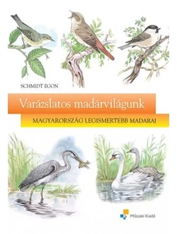 Varázslatos madárvilágunk