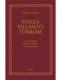 Visszapillantó tükröm