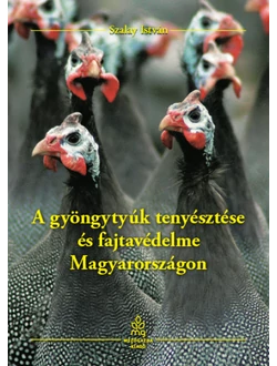 A gyöngytyúk tenyésztése és fajtavédelme Magyarországon
