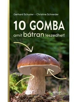 10 gomba – amit bátran leszedhet!