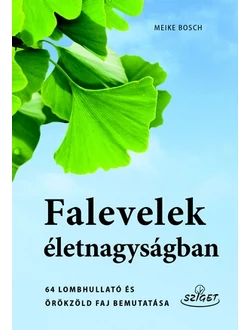 Falevelek életnagyságban