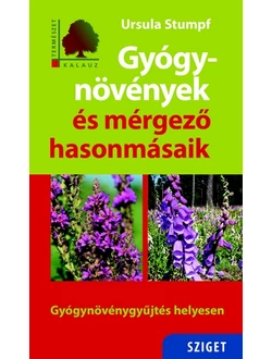Gyógynövények és mérgező hasonmásaik