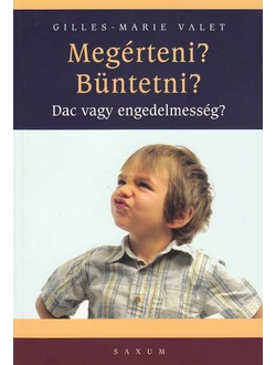 Megérteni? Büntetni?