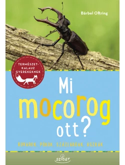 Mi mocorog ott?