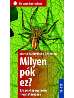 Milyen pók ez?