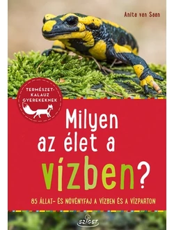 Milyen az élet a vízben?