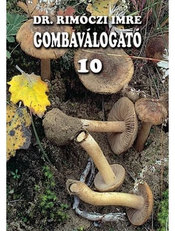 Gombaválogató 10.