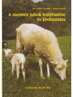 A merinói juhok tenyésztése és kiválasztása