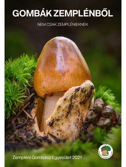 Gombák Zemplénből