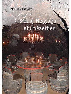 Tokaj-Hegyalja alulnézetben
