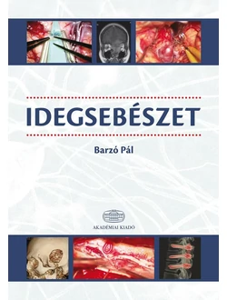 Idegsebészet