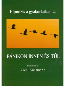 Pánikon innen és túl