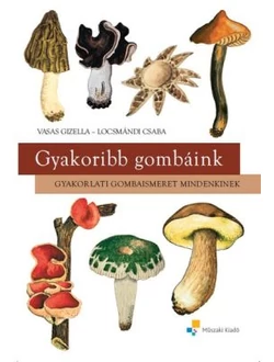 Gyakoribb gombáink