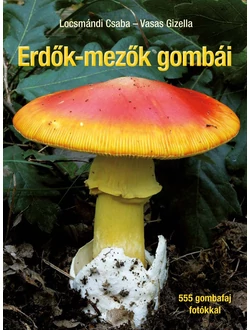 Erdők-mezők gombái