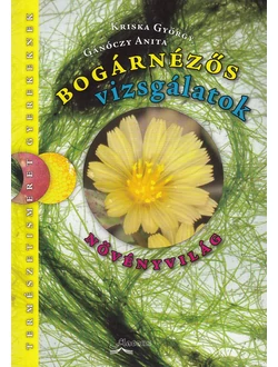 Bogárnézős vizsgálatok