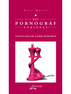 Egy pornográf történet