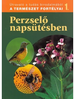 Perzselő napsütésben