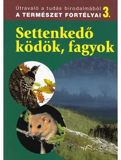 Settenkedő ködök, fagyok