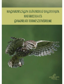Magyarországon előforduló bagolyfajok határozása és gyakorlati természetvédelme