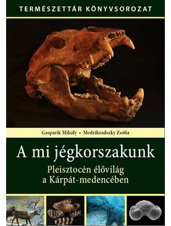 A mi jégkorszakunk