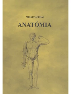 Anatómia