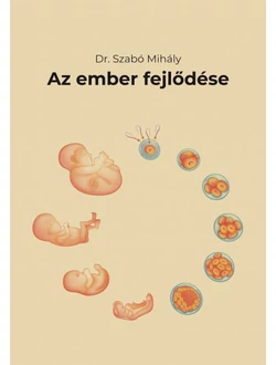 Az ember fejlődése