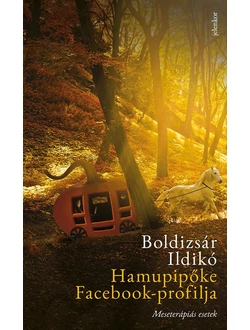 Hamupipőke Facebook-profilja