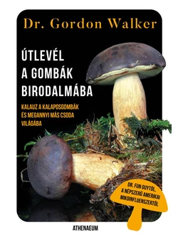 Útlevél a gombák birodalmába