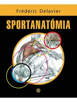 Sportanatómia