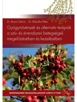 Gyógynövények és alternatív terápiák a szív- és érrendszeri betegségek megelőzésében és kezelésében