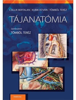 Tájanatómia