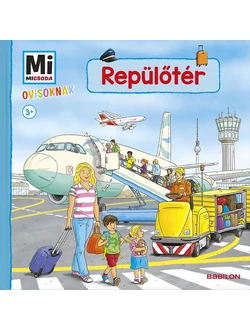 Repülőtér