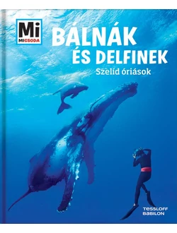 Bálnák és delfinek