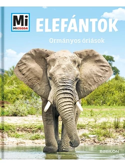 Elefántok