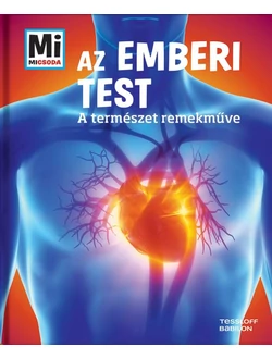 Az emberi test