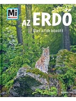 Az erdő