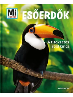 Esőerdők