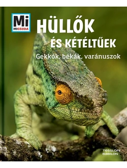 Hüllők és kétéltűek