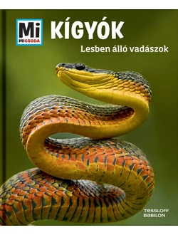 Kígyók