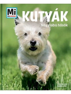 Kutyák